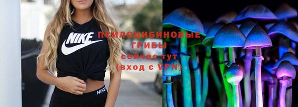прущие крисы Абаза