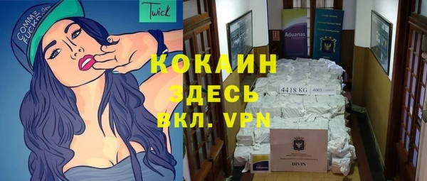 прущие крисы Абаза