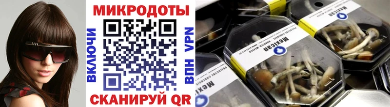 закладка Донской Галлюциногенные грибы прущие грибы